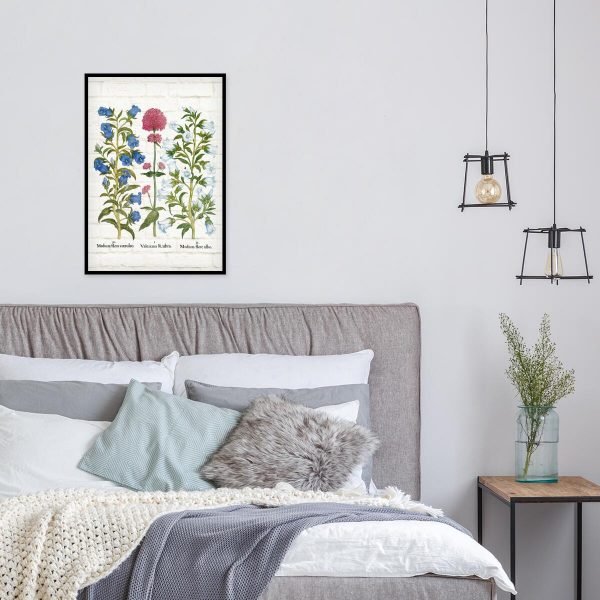 Plakat dydaktyczny z ostrogowcem czerwonym do szkoły