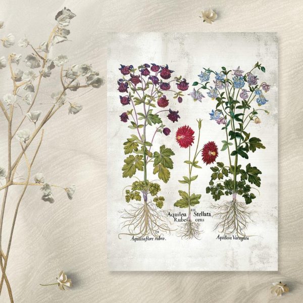 Plakat ogrodowe kwiaty