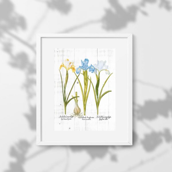 Plakat pastelowy z kolorowymi irysami