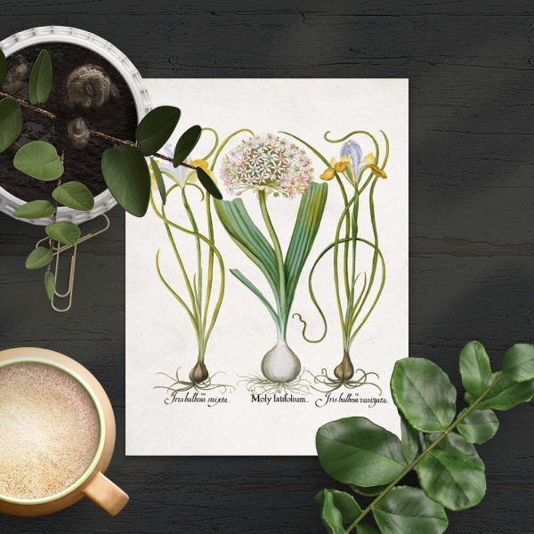 Plakat rośliny kwiatowe