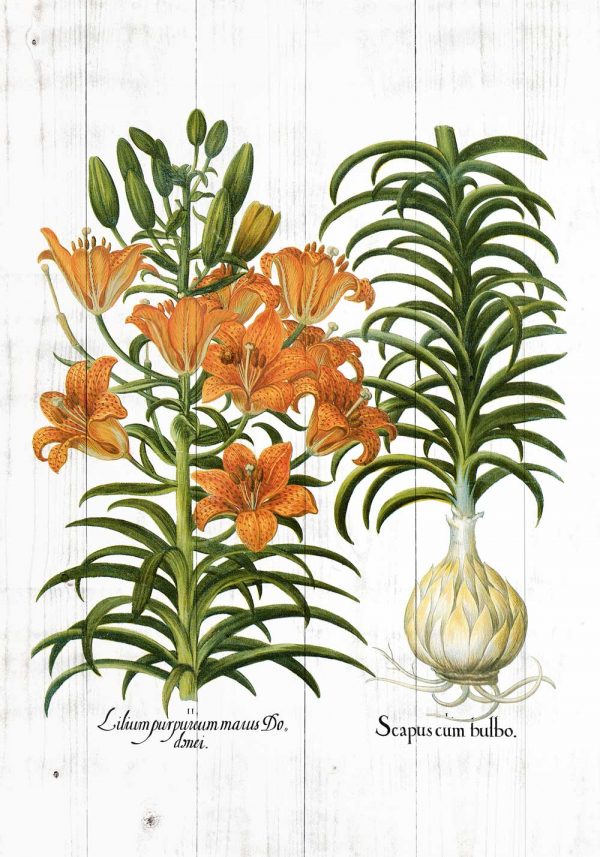Plakat rustykalny z motywem lilii