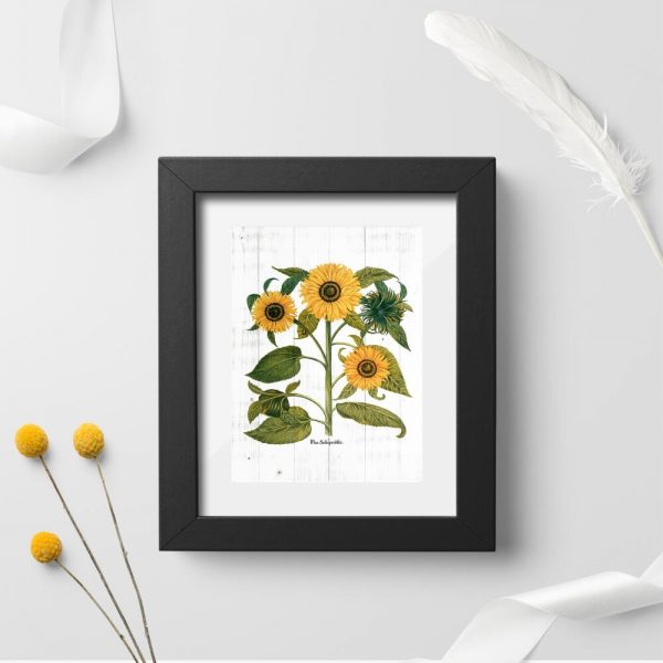 Plakat w stylu rustykalnym ze słonecznikami