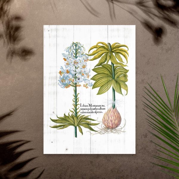 Plakat z białym kwiatem na tle desek