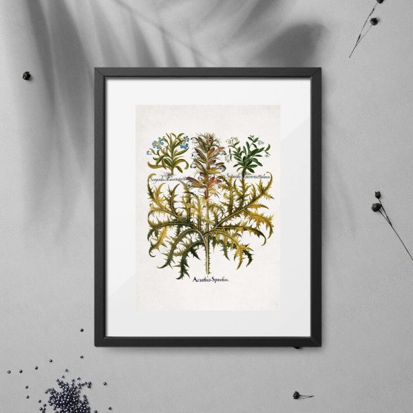 Plakat z błękitną niezapominajką