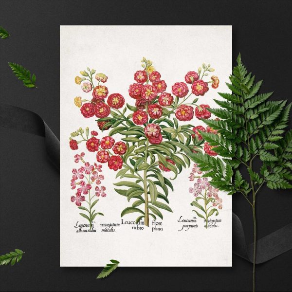 Plakat z goździkami do pokoju