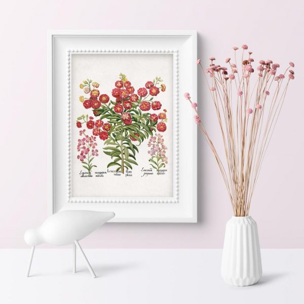 Plakat z goździkami do przedpokoju