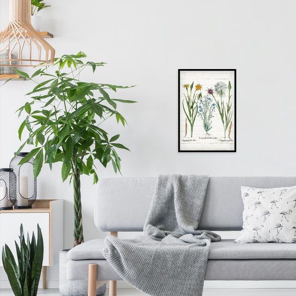 Plakat z kozibrodem do salonu