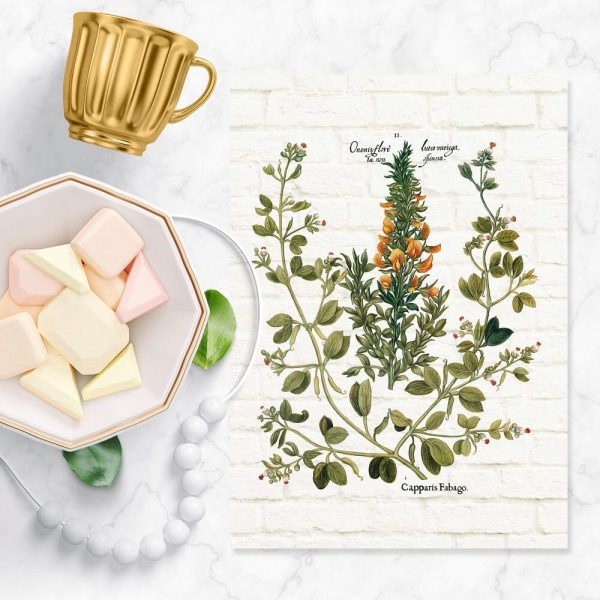 Plakat z kuchennymi dodatkami