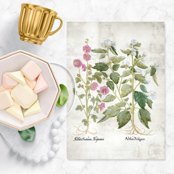 Plakat z kwiatami białymi