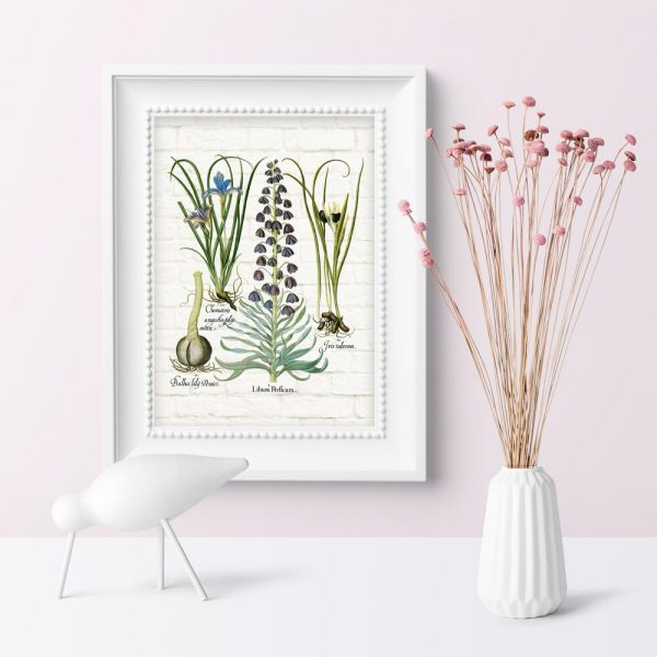 Plakat z kwiatami i ich łacińskimi nazwami