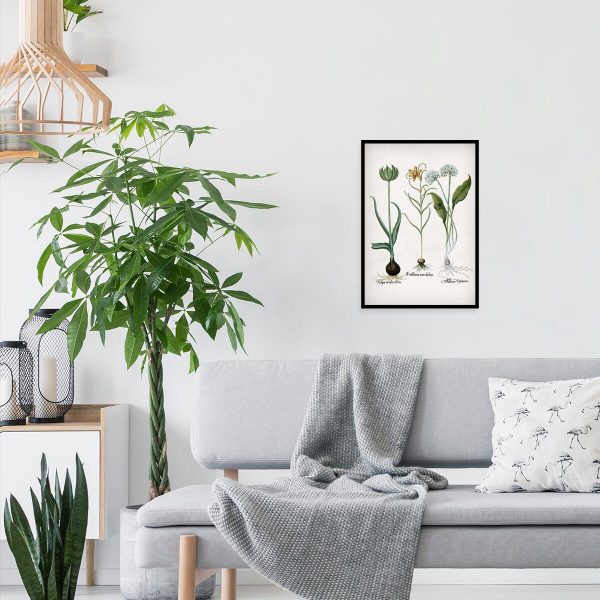 Plakat z kwiatem szachownicy cesarskiej do salonu