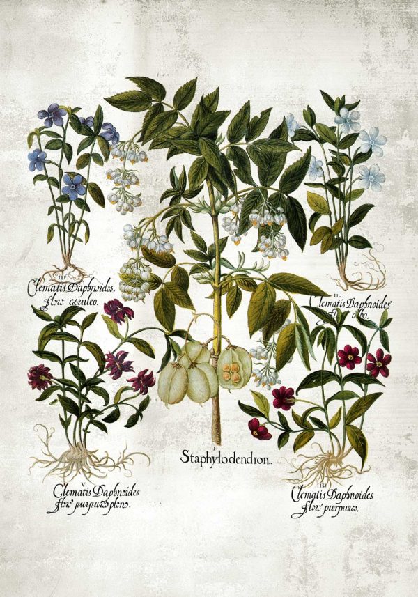 Plakat z kwiatkami dla florysty