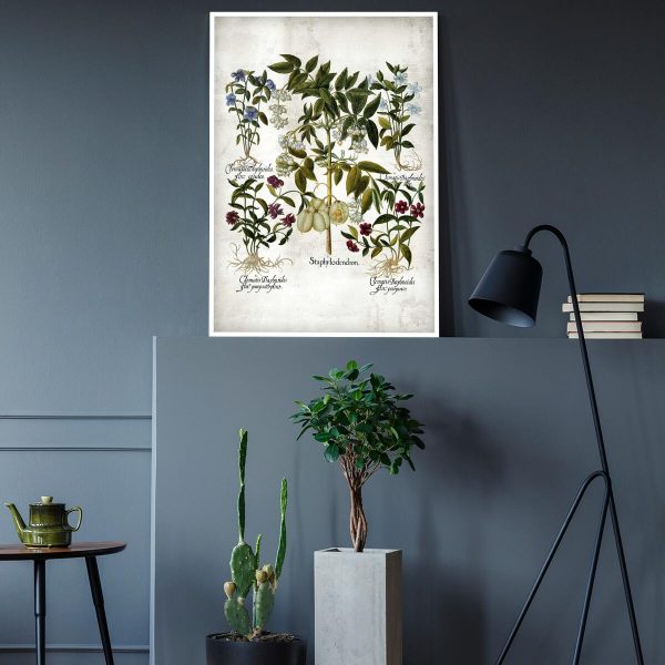 Plakat z kwiatkami dla florysty do gabinetu