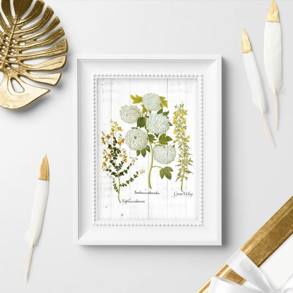 Plakat z kwiatostanem roślin