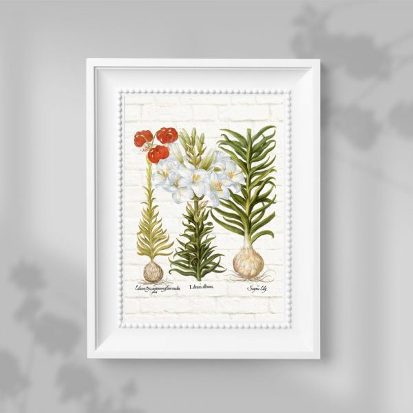 Plakat z lilią do pokoju