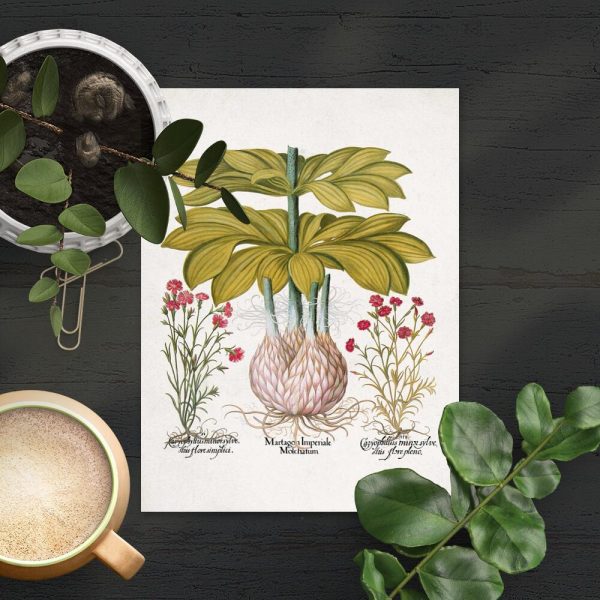 Plakat z lilią i czerwonymi kwiatuszkami