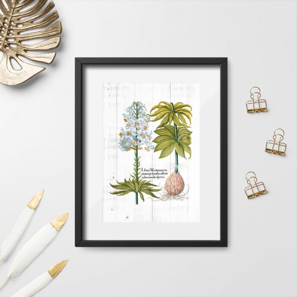 Plakat z lilia na tle desek