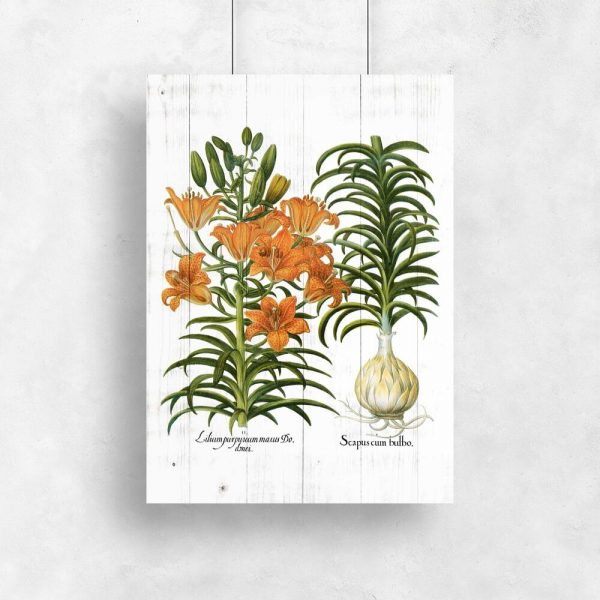 Plakat z liliami