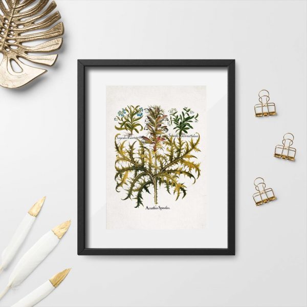 Plakat z liśćmi akantu