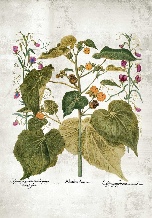 Plakat z motywem chwastów