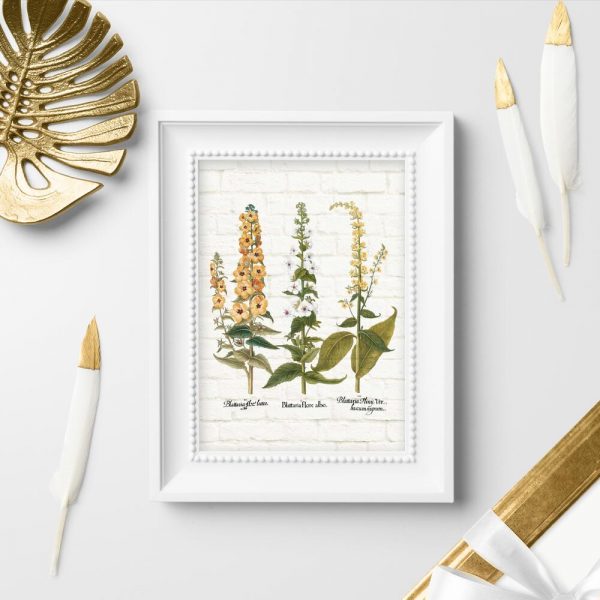 Plakat z motywem dziewanny