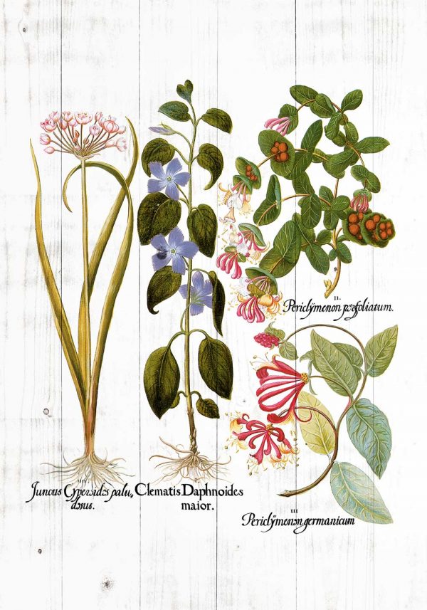 Plakat z motywem klamtisu