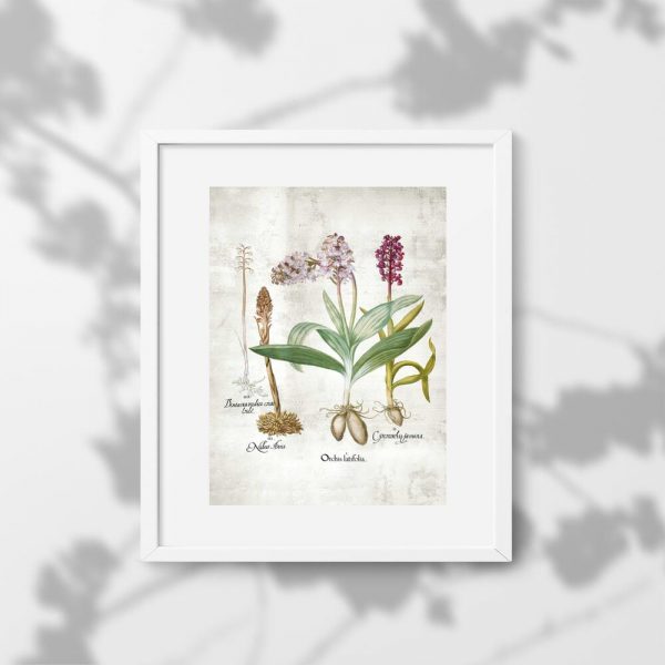 Plakat z motywem kwiatów