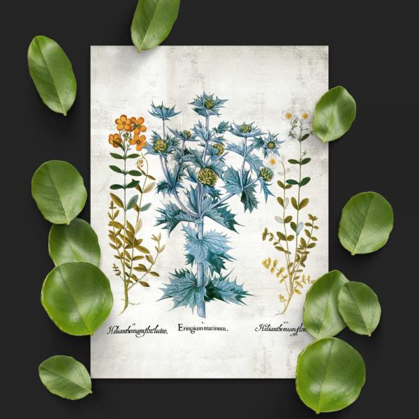 Plakat z motywem kwiatowym