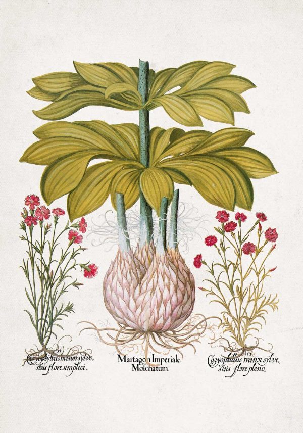 Plakat z motywem lilii