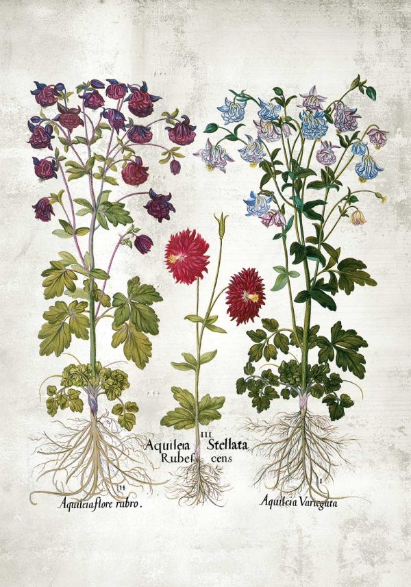 Plakat z motywem orlików