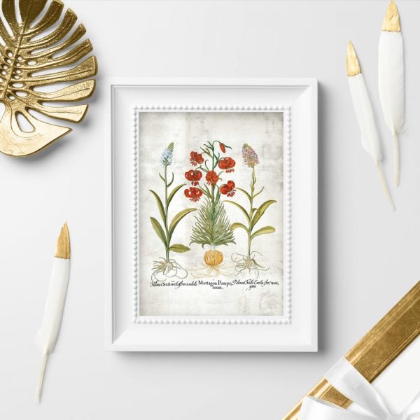 Plakat z motywem roślinnym