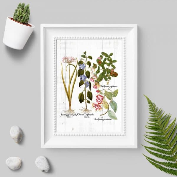 Plakat z motywem roślinnym na tle desek