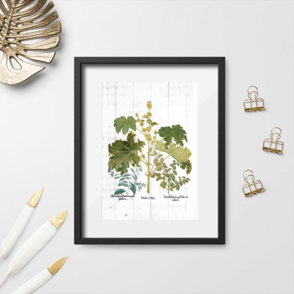 Plakat z motywem ziół