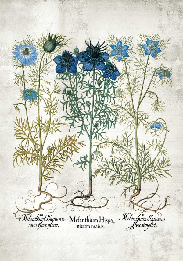 Plakat z niebieskimi kwiatuszkami