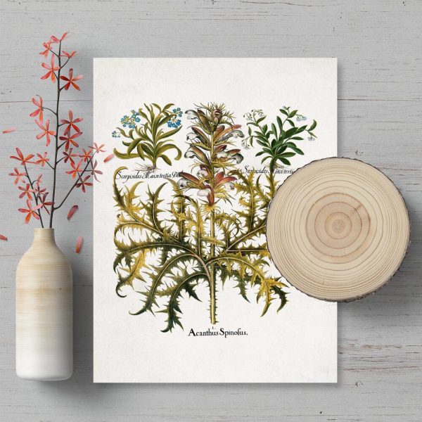 Plakat z niezapominajką