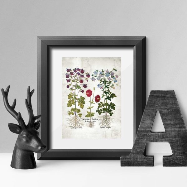 Plakat z orlikami do dekoracji szkoły