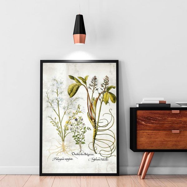 Plakat z plumerią - Kwiat zakochanych do salonu