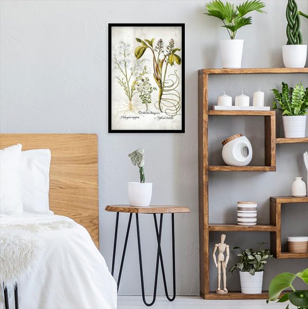 Plakat z plumerią - Kwiat zakochanych do sypialni