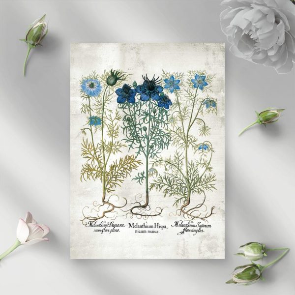 Plakat z polnymi kwiatuszkami