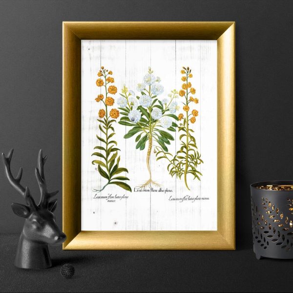 Plakat z pomarańczowymi goździkami do pokoju