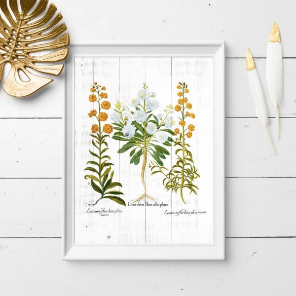 Plakat z pomarańczowymi goździkami do przedpokoju