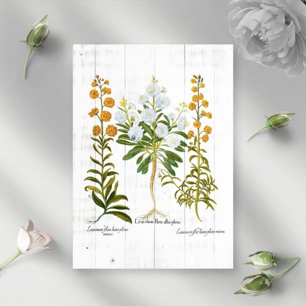 Plakat z pomarańczowymi goździkami do sypialni