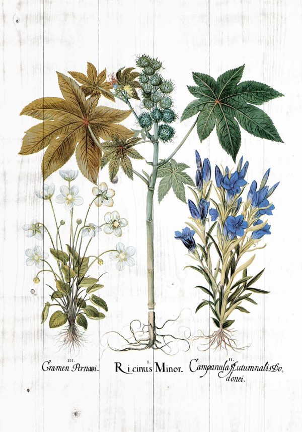 Plakat z rącznikiem