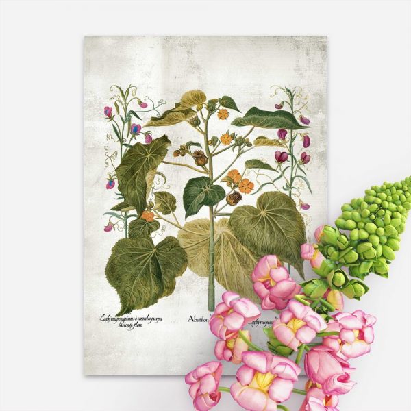 Plakat z zaślazem i innymi roślinami