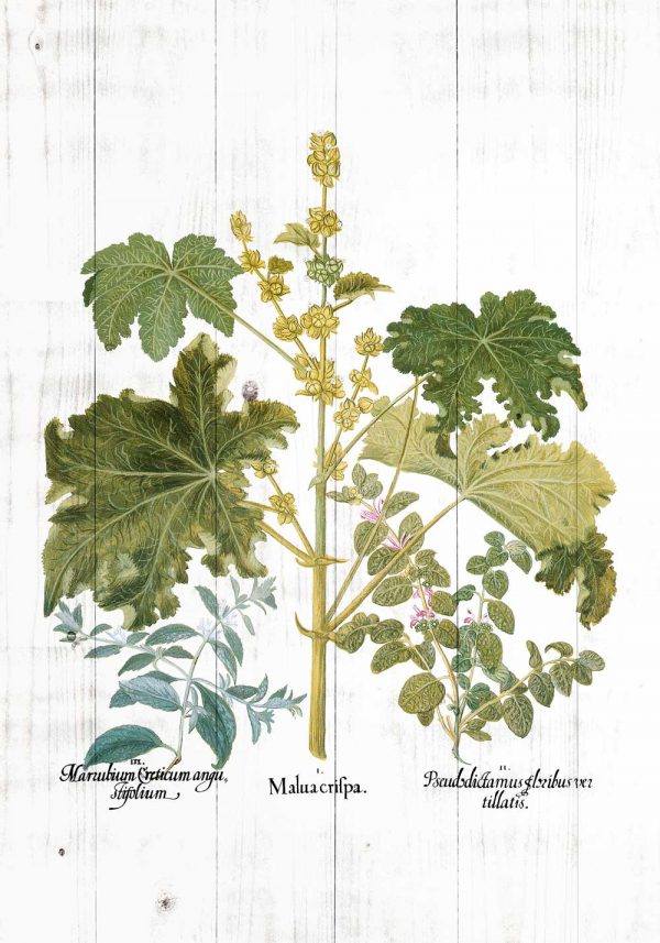 Plakat z zielonymi roślinami