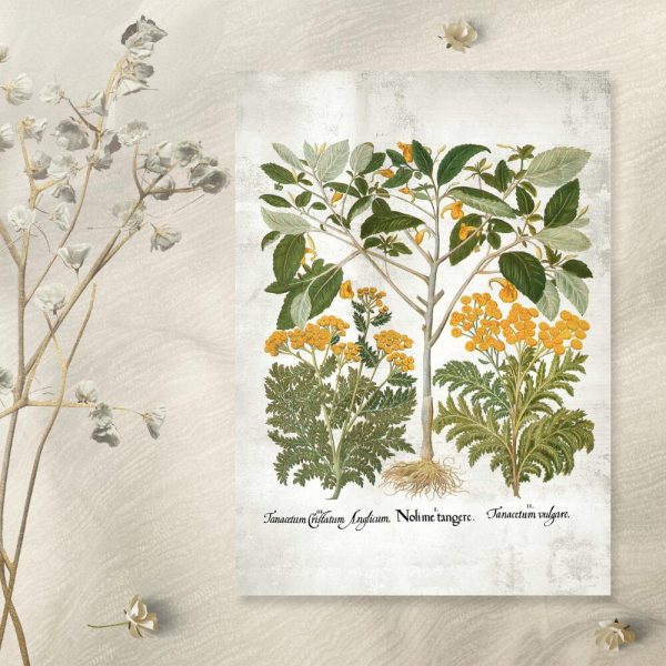 Plakat z żółtymi kwiatkami