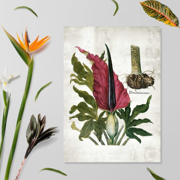 Plakat ze żmijownikiem