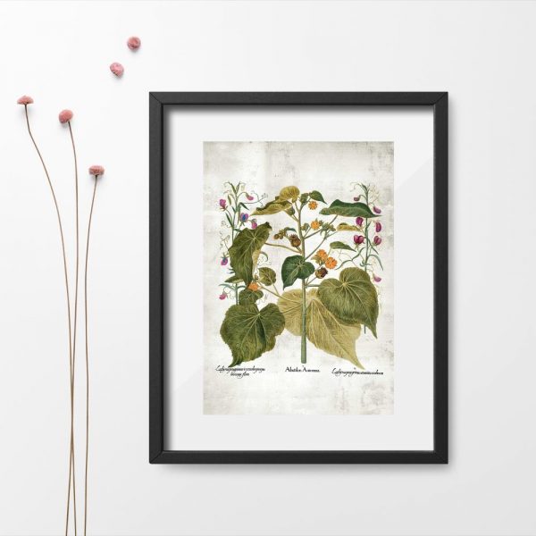 Plakat zielone rośliny i kolorowe kwiatuszki