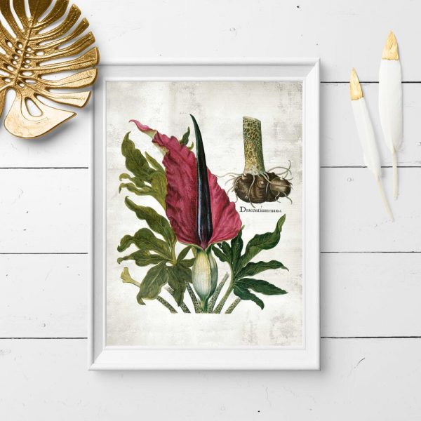 Plakat żmijownik i jego korzenie