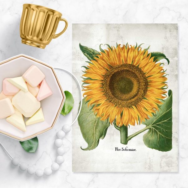 Plakat żółty słonecznik